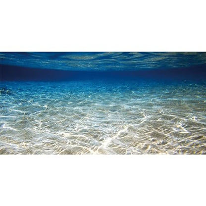 AWERT 60x24 inches Ocean Floor Aquarium Background Underwater Fish Tank Background Undersea Theme Aquarium Background - size: 60x24in/150x60cm