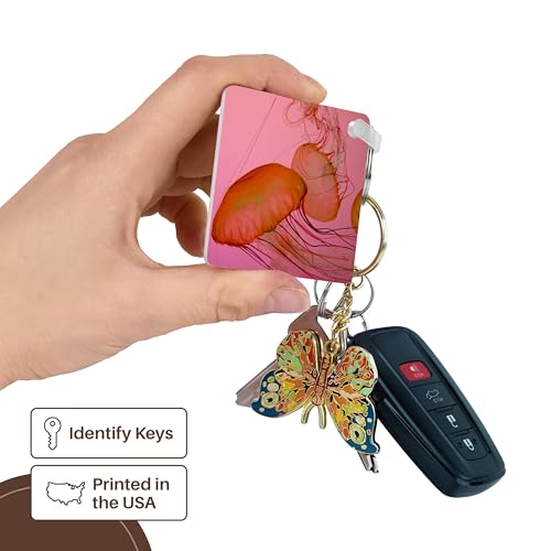 3dRose, Shedd Aquarium, Chicago, Illinois, USA - US14 CMI0009 - Cindy Miller Hopkins, Key Chain - size: set of 2 Key Chains
