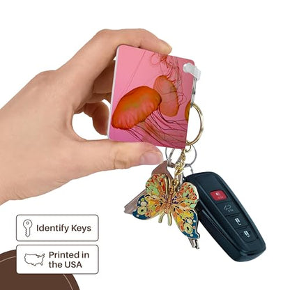 3dRose, Shedd Aquarium, Chicago, Illinois, USA - US14 CMI0009 - Cindy Miller Hopkins, Key Chain - size: set of 6 Key Chains