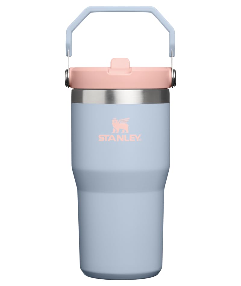 STANLEY IceFlow 2.0 Flip Straw Tumbler, 20 oz, Blue Dream - color: Blue Dream, size: 20 Ounces