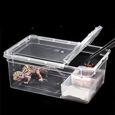 Small Reptile Breeding Box for Reptiles Small Snake Turtle Spiders Geckos Frogs Breeding Box Case Feeding Hatching Container Reptile Tank Terrarium