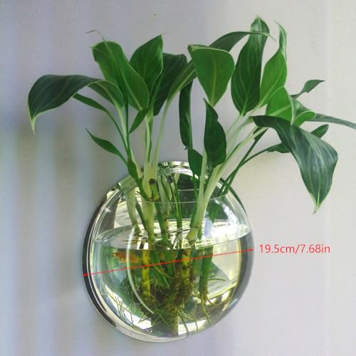 Wall Fish Bowl Wall Fish Bubble Hanging Clear Acrylic Betta Fish for Tank Wall Mounted Aquarium Wall Plant Planter Aquariums Tanks
