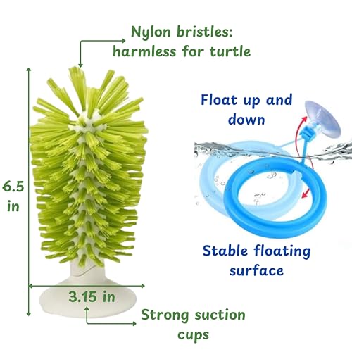 Turtle Brush with Suction Cup & Feeding Ring, 2-Piece Cleaning & Feeding Set (Green)