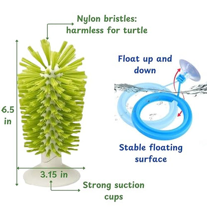 Turtle Brush with Suction Cup & Feeding Ring, 2-Piece Cleaning & Feeding Set (Green)