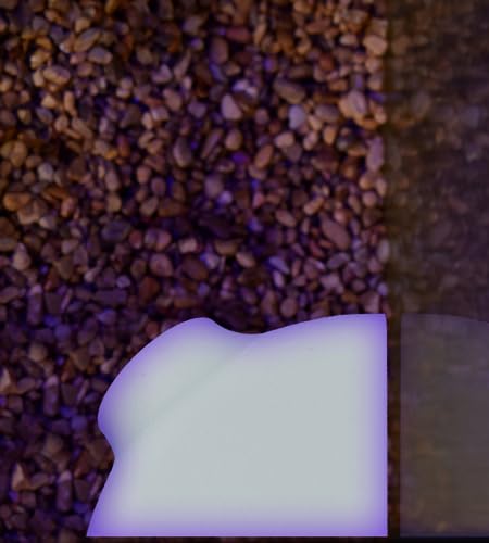 REEFSHAPE - Aquarium Corner Plug Underground Tunnel | Fish & Shrimp Hideout for Aquariums | Unique Underground Viewing Tunnel | Made in USA (Corner Plug, White)