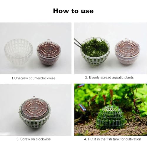Moss Hemisphere Colonization Ball Aquarium Shrimp Fish Tank Moss Balls Holder Freshwater Live Plants Shaping Ball with Filter Stone