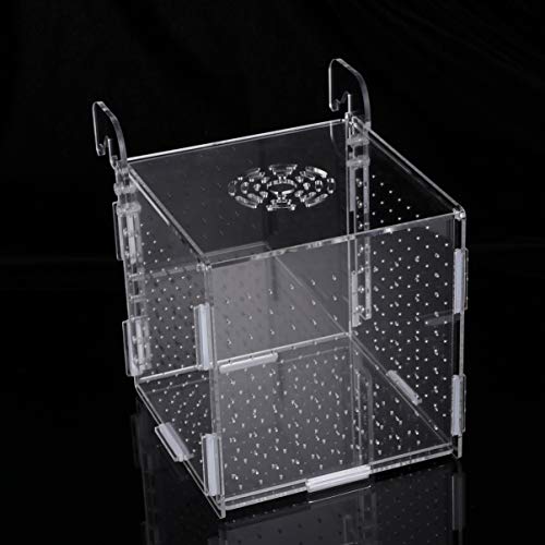 Aquarium Fish Breeding Box - Transparent Acrylic Fish Tank Hatchery Hanging Incubator for Shrimp Clownfish (Hook 151516cm)