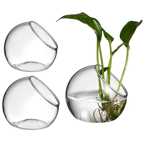 ibasenice 3Pcs Glass Terrarium Bowls Air Plant Holders Hydroponic Planters Small Round Vases for Home Office Desktop Display