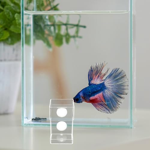 Toyvian Automatic Aquarium Fish Feeder with Suction Cup Acrylic Feeding Tube Sink Type for Fish Tank Shrimp Worm Feeder Tray No Spill Feeding Device