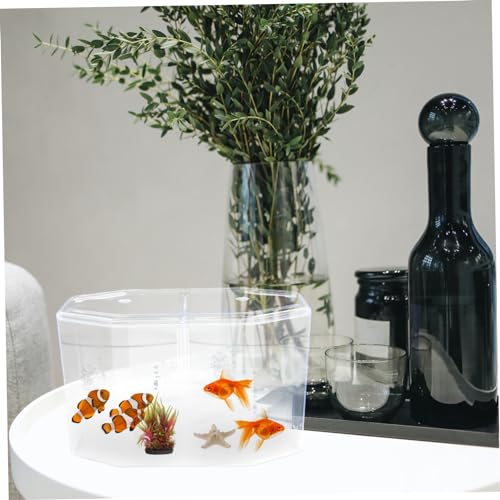 Box Small Separation Incubator Mini Divider Hatchery Landscape Isolating for Decorative Household Goldfish Octopus Spawning Desktop Tool Breeder Clear Micro Aquarium Isolation