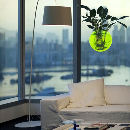Wall Fish Bowl Wall Fish Bubble Hanging Clear Acrylic Betta Fish for Tank Wall Mounted Aquarium Wall Plant Planter Aquariums Tanks