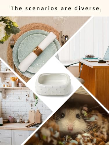 2-Pcs Ceramic Reptile Food Bowl, Mini Reptile Feeder (Farmhouse White) - color: Farmhouse White