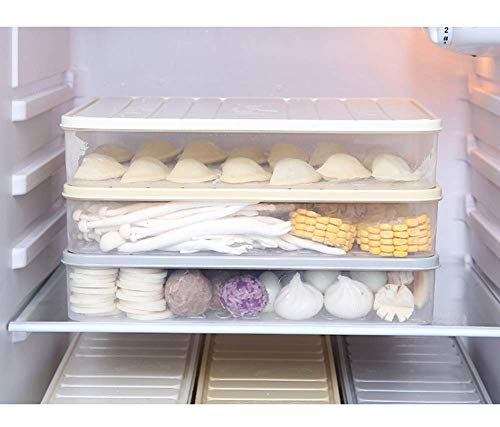 Square Refrigerator Storage Box Kitchen Household Plastic Food Sealed Frozen Fish And Shrimp Sliced Vegetable Box Refrigerator Storage & Finishing Box-Gris