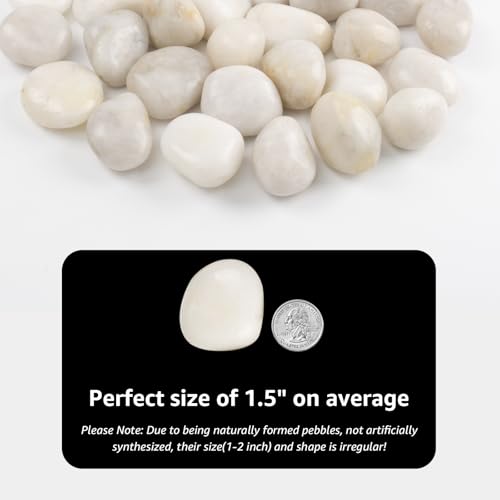 20lbs River Rocks - 1-2Inch Decorative Rocks for Potted Plants, River Rocks for Aquariums, and White Rocks for Landscaping (Weight : 20 LB, White)