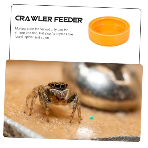 Escape Ceramic PET Feeding Bowl for Reptiles and Small Animals Round Shrimp Food Basin Water Dish Non-Tipping Design for Lizards Crabs and Other Crawlers (Orange)