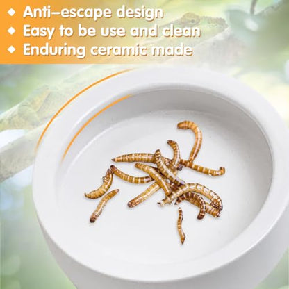 2 Pack Reptile Food Bowl, Ceramic Water Feeder Bowl, Reptile Worm Feeding Dish for Lizard Turtle Bearded Dragon Anoles Crested Gecko Hermit Crab Leopard Gecko Chameleon Corn Snake - size: 2 Pcs 3.9 '' x 1.1 ''