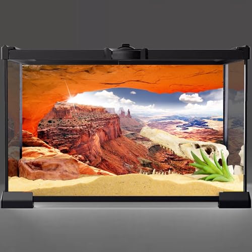 AWERT Stone Reptile Habitat Background Sky Oasis Mountain Cactus Sun and Desert Terrarium Background 36x18 inches Polyester Background - size: 36x18in/90x45cm