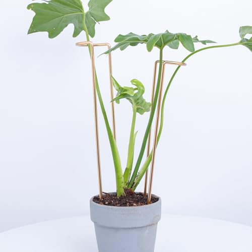 12-Inch Monstera Support - 10 Pack Medium Plant Support for Indoor and Outdoor Plants, Durable Stem Holder Trellis for Monstera and Spring Plant Stakes, Ideal for Home, Balcony, and Terrace - color: Gold, size: 12 Inch H