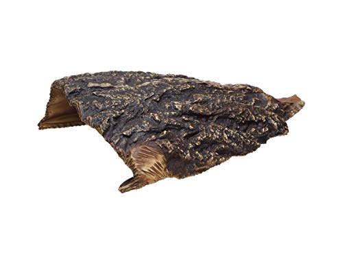Aquarium Cave - Ceramic Betta Fish Tank Decor - Natural Aquarium Decor - Large Reptile Hide - Fish cave Hideout - Snake Hide - Cave for Cichlids and plecos (Cave)
