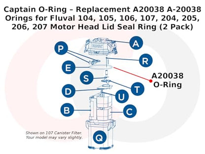 Captain O-Ring – Replacement A20038 A-20038 Orings for Fluval 104, 105, 106, 107, 204, 205, 206, 207 Motor Head Lid Seal Ring (2 Pack)