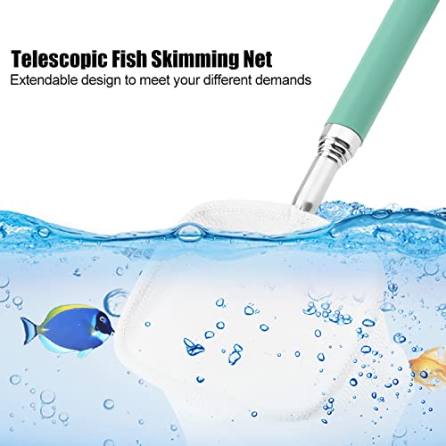 Fishing Landing Net, Extendable Telescopic Fish Shrimp Skimming Net Stainless Steel Handle Fishing Net for Aquarium Fish Pond Creek(Green)