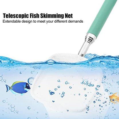Fishing Landing Net, Extendable Telescopic Fish Shrimp Skimming Net Stainless Steel Handle Fishing Net for Aquarium Fish Pond Creek(Green)