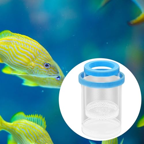 Incubation Box Fish Tank, Hatchery Cultivating Container, Isolation Box, Aquarium Breeding Tank for Betta Fish, Blue