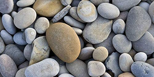 Pebbles Aquarium Background Poster HD Fish Tank Decor Landscape 24" 48" 72" (24" x 12"/ 61 x 30cm)