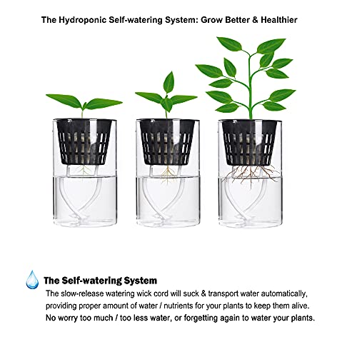 25 Pack Net Pots 3 inch Hydroponic Pots Come with 25 ft Self Watering Wick & 25 Pcs Plant Label Aquaponics Mason Jar Insert Orchid Netted Basket Slotted Mesh Garden kratky Growing Vegetable - size: 3 inch (25 Pack)