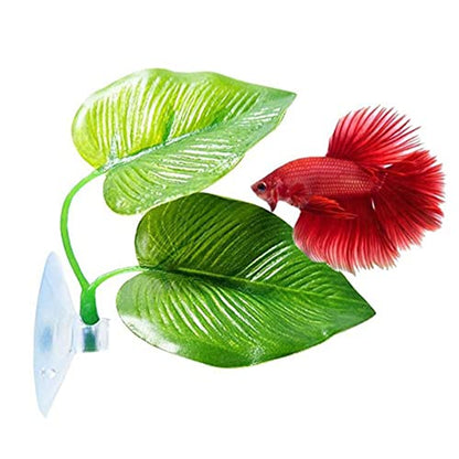 Betta Fish Leaf Pad Improves Betta's Health by Simulating The Natural Habitat for Tank Aquarium Breeding Resting Bed