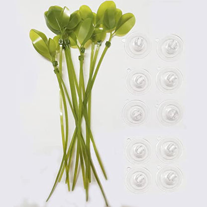 Aquarium Suction Cups and Leaf-Shaped Adjustable Cable Ties for Binding Moss Shrimp Dodging Nest, Suction Cups with Holes Aquarium Plants Holder (24)