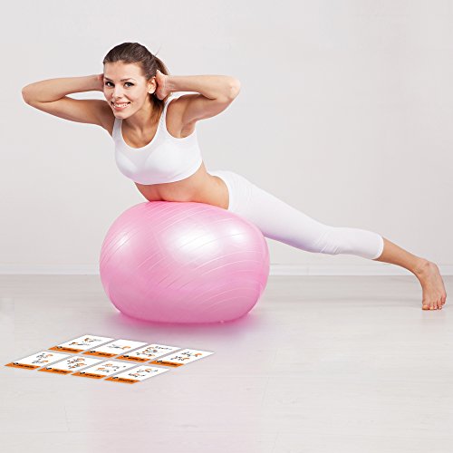 Stability Workout Cards - Instructional Fitness Deck for Women & Men, Beginner Fitness Guide to Training Exercises at Home or Gym - style: Stability