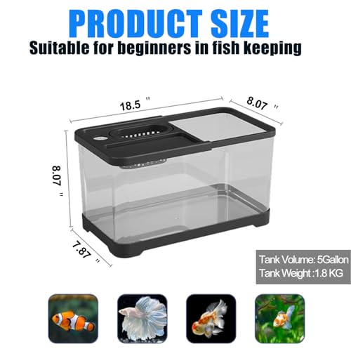 5 Gallon Fish Tank, Aquarium Plastic Starter Kit with Filter, led Light, sponge, and filter ball, Fish Tank for Betta, Plastic Nano Aquarium with Lid(18.5*7.87*8.07 inch / Black) (5 Gallon Fish Tank)