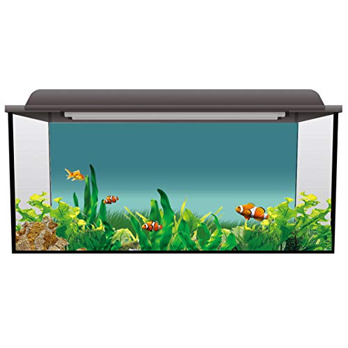 T&H Home Aquarium Décor Backgrounds - Gradient Teal and Green Fish Tank Background Aquarium Sticker Wallpaper Decoration Picture PVC Adhesive Poster, 60.8" W x 24.4" H - size: 60.8"W x 24.4"H
