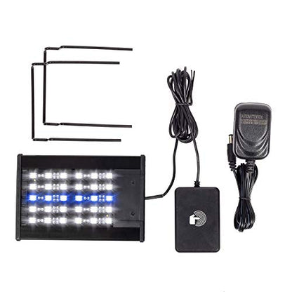 REPTI ZOO Terrarium Light - Day and Night Mode Reptile LED Light Hood with White and Blue Light for Different Pet Habits