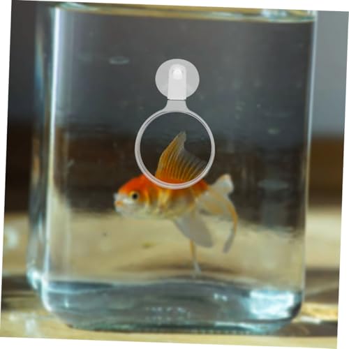 NOLITOY 4pcs Acrylic Glass with Cup for Fish Tank Betta Fish Plants and Spiders Viewing Tool Easy Installation and Sturdy Design