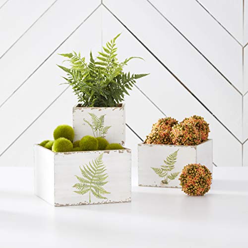 K&K Interiors, 17249A Set of 3 White Wood Nesting Boxes with Fern Decals