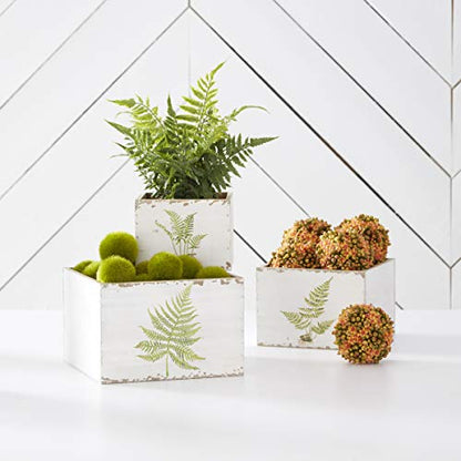 K&K Interiors, 17249A Set of 3 White Wood Nesting Boxes with Fern Decals