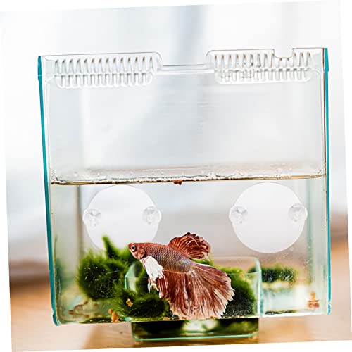 Ciieeo 10pcs Betta Fish Training Mirror Single Side Betta Tank Mirror Cup Floating Decorative Fish Tank Accessory for Play and Exercise