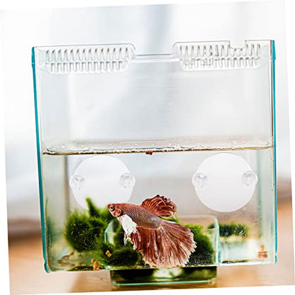 Garneck 10Pcs Betta Mirror with Suction Cups for Training and Play Tank Decor for Betta Fish Non Fading Design for Enhanced Aquatic Environment