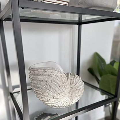 Nautilus Shell Sculpture - Replica Beach Themed Ocean Decor for Home - Rustic White Resin 10¼" x 6" x 8" Crafted Coastal Seashell Shelf Decor Gift-Boxed