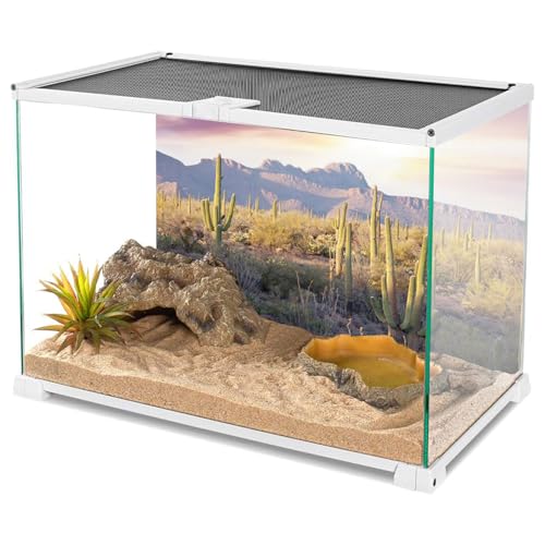 AWERT Reptile Habitat Background Blue Sky Oasis Mountain Cactus Sun and Desert Terrarium Background 48x24 inches