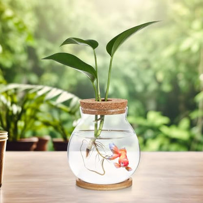 Toddmomy Desktop Hydroponic Glass Fish Bowl Mat Small Betta Tank for Aquatic Plants Terrarium for Home Office Lid