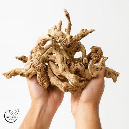 Koyal Wholesale Natural Grapewood Vase Filler Decor, 2.2-Pounds Bulk Vase Filler Branches for Terrariums, DIY Air Plant Kits, Table Scatter