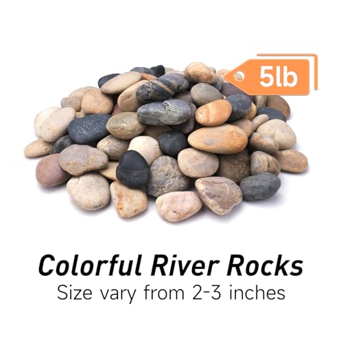 5lbs River Rocks for Landscaping, 2"-3" Decorative Garden Stones for Plants, Flower Pots, Vase, Walkways, Yard, Natural Rocks for Aquarium, Fish Tank - size: 2-3 Inch