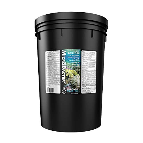 Brightwell Aquatics MicroBacter7 Biological Filter Bioculture Aid, 20L - size: 20-L