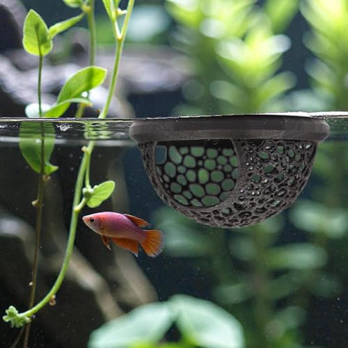 Floating Betta Fish Skins, Betta or Shrimp Feeder, Cave and Hammock, Small Fish Feeding Rings, Aquarium Hiding Feeding Decorative Accessories (Black)