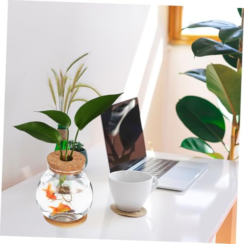 Desktop Glass Fish Bowl with Cushion Hydroponic Terrarium for Betta Fish and Plants Aquarium with Mat for Decor