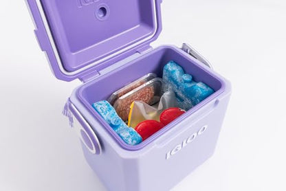 Igloo Maxcold Ice Block,2 Pieces, Ice Block - color: 2PK Large