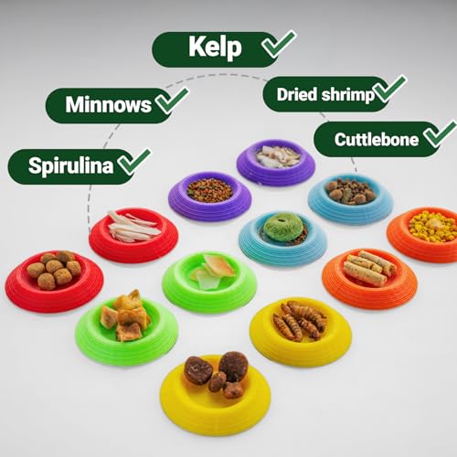 12pcs Isopods Feeder Bowls, Tiny Feeding Dish for Isopods, Springtails, Dubia Roaches, Dwarf Invertebrates – Colorful Food Dishes for Terrariums and Enclosures